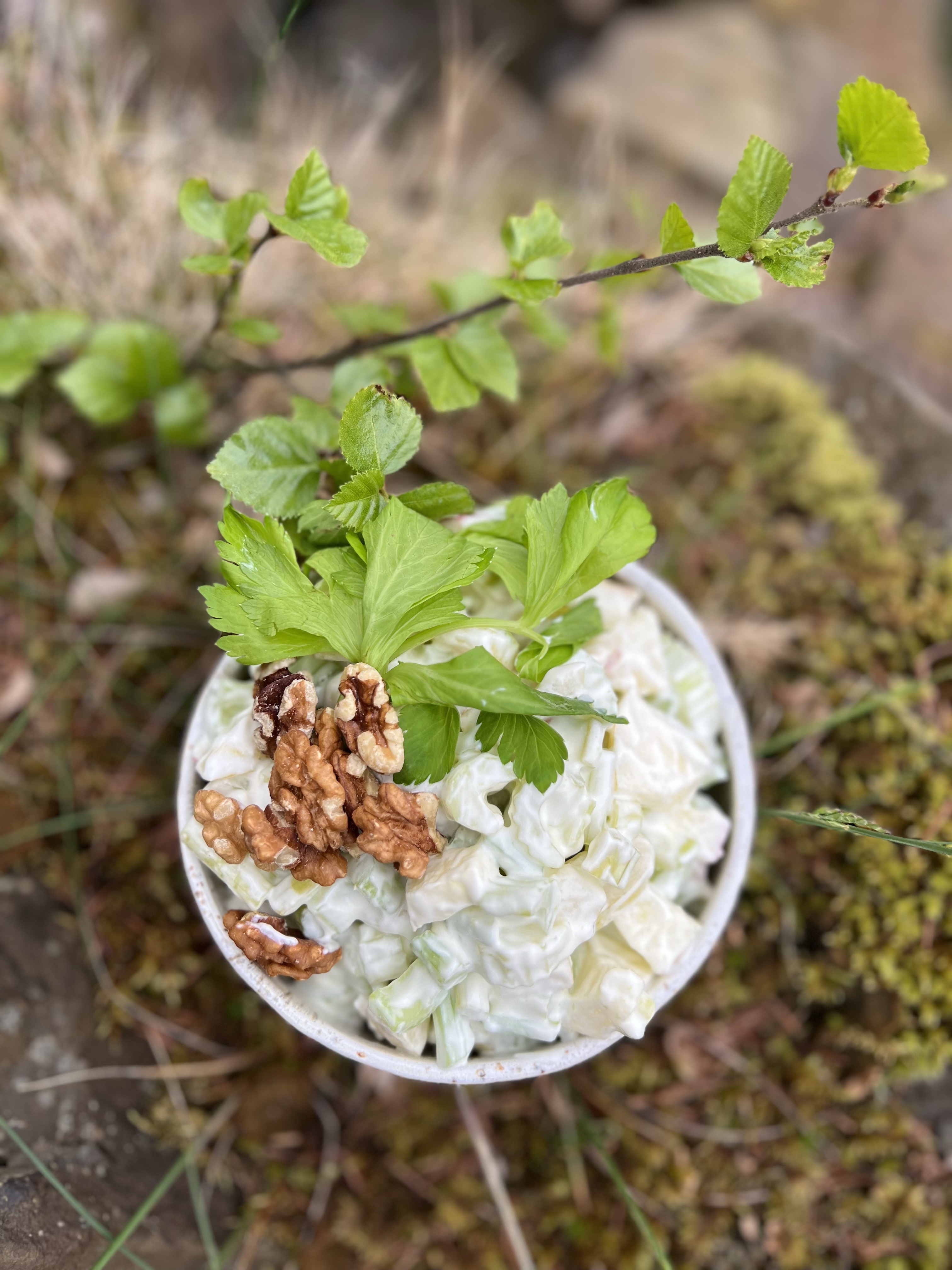 Waldorf salat að hætti Önnu Siggu - GÓÐUR KOSTUR